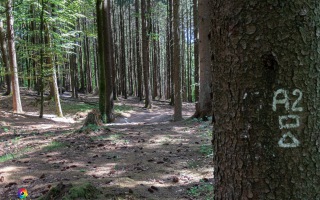 Ennepe Quellgebiet bei Halver, Wanderung am 31.05.2020