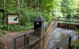 Neyetalsperre bei Wipperfürth Wanderung 06.06.2020