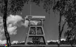 RAG Prosper Haniel unterwegs auf der Halde, bei Bottrop