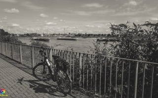 Radtour Rhein Düsseldorf bis Duisburg 22.07.220