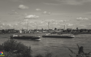 Radtour Rhein Düsseldorf bis Duisburg 22.07.220