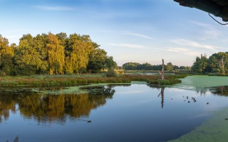 Nettetal De Wittsee Start bei Campingplatz Tiefotografie vom Beobachtungs Stand 18.08.2020