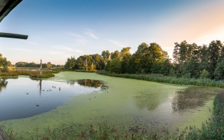 Nettetal De Wittsee Start bei Campingplatz Tiefotografie vom Beobachtungs Stand 18.08.2020