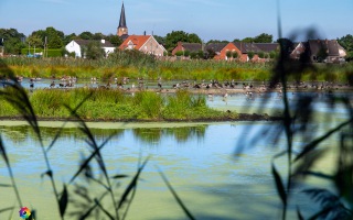 Nettetal De Wittsee Start bei Campingplatz Tiefotografie vom Beobachtungs Stand 18.08.2020