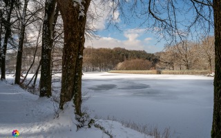 Heilenbecker Talsperre Ennepetal -7 Grad C am 12.02.2021