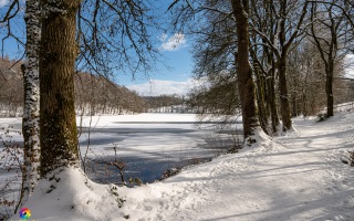 Heilenbecker Talsperre Ennepetal -7 Grad C am 12.02.2021