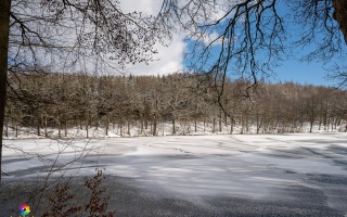 Heilenbecker Talsperre Ennepetal -7 Grad C am 12.02.2021