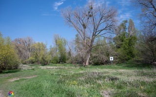 Düsseldorf Benrath, Schloß und Wanderung Urdenbach und Rhein 28.04.2021