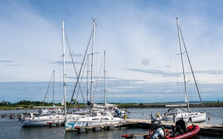 Z8A_6901