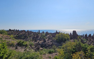 Öland 20.07.2025