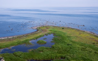 Öland 18.07.2025