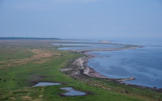 Öland 18.07.2025