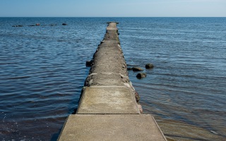 Z8A_7862