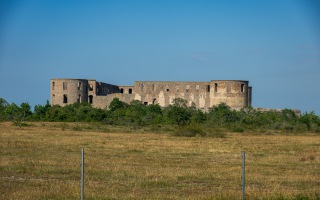 Z8A_7978
