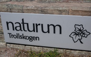 Öland 20.07.2025