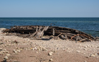 Öland 20.07.2025