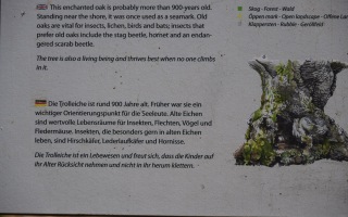 Öland 20.07.2025