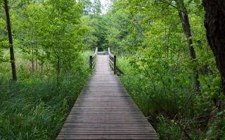 Trakai 18.06.2027
