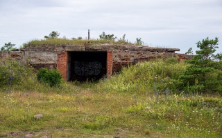 Z8A_7487