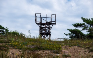 Z8A_7505
