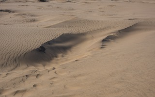 Räbjerg Mile, Wanderdüne, 09.04.2026 DK WoMoTour