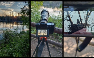 Collagebis1