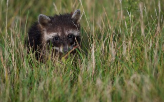 Z8B_9865-Bearbeitet