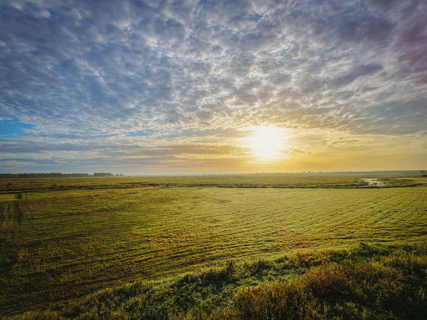 dji_fly_20260907_071544_0084_1788851810395_photo_beautify