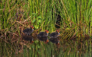 De Wittsee 09.05.2024