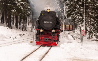 mit der Brockenbahn von Schierke aus auf den Brocken