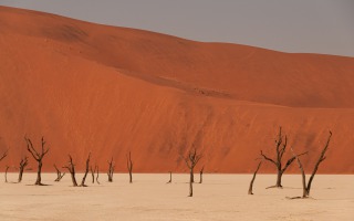 Sossus Vlei und Death Veil Namibia 2013