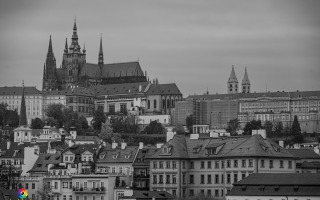 Z7H_9547