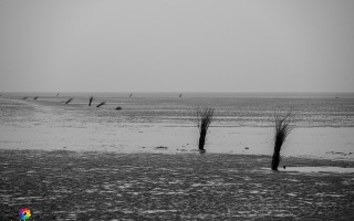Cuxhaven 28.12.2024