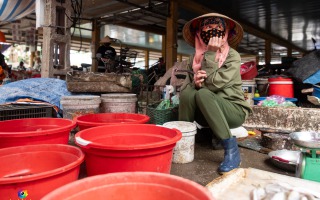 Besichtigungen beim Transfer nach Hanoi Airport 06.03.2020